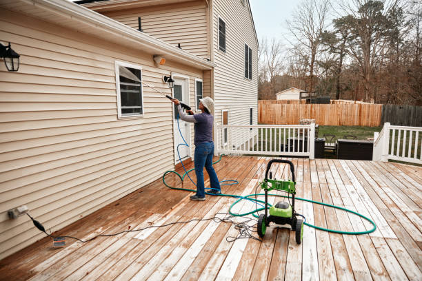 Best Power Washing Near Me  in Mount Clemens, MI