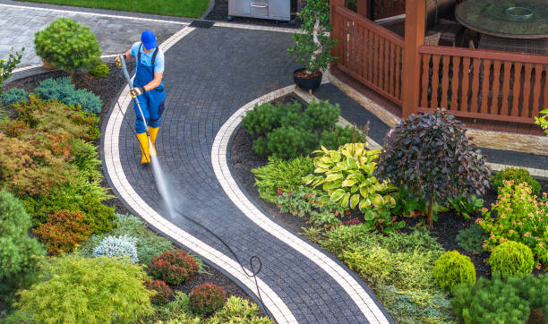 Best Deck Cleaning Services  in Mount Clemens, MI