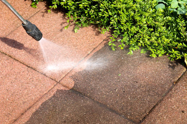 Best Power Washing Near Me  in Mount Clemens, MI